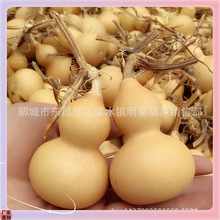 �a��ֱ����Ȼ���J ��������С���J ���������������J�����ֱ�N