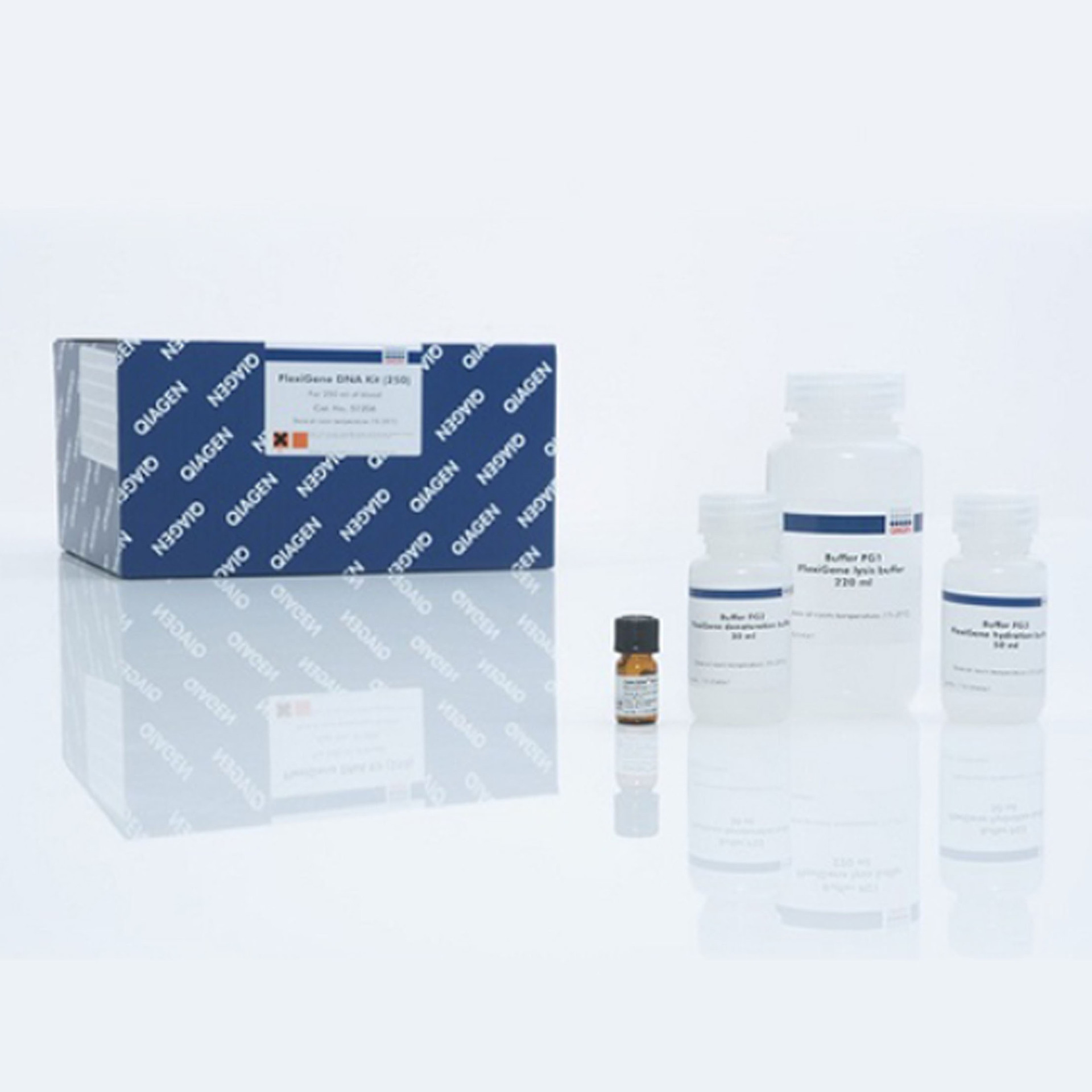 Qiagen 51206 全血白膜层/培养细胞基因组DNA提取试剂盒，250T