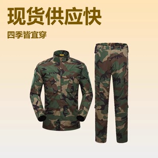 �羳������ɫ�Բʷ����b�Б�����g��Ӗ����ĥ���b�����S�����l