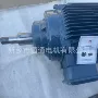 变频高速100hz150hz电动机