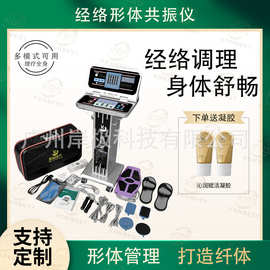 工厂全新美福康乐经络形体共振仪细胞舒缓按摩康养仪渗透能量仪