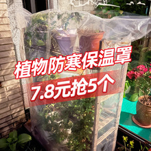 绿植物防冻保温袋塑料膜花卉盆栽过冬床包树木防寒布防尘袋透明