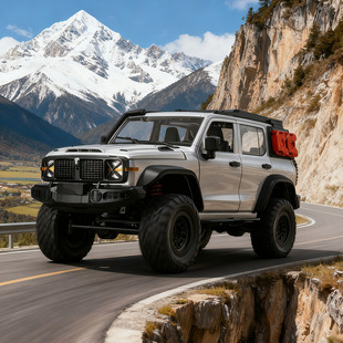 �羳��Ʒçţ̹��300ģ���b��܇MN300����rc����܇ԽҰ܇ģ�����