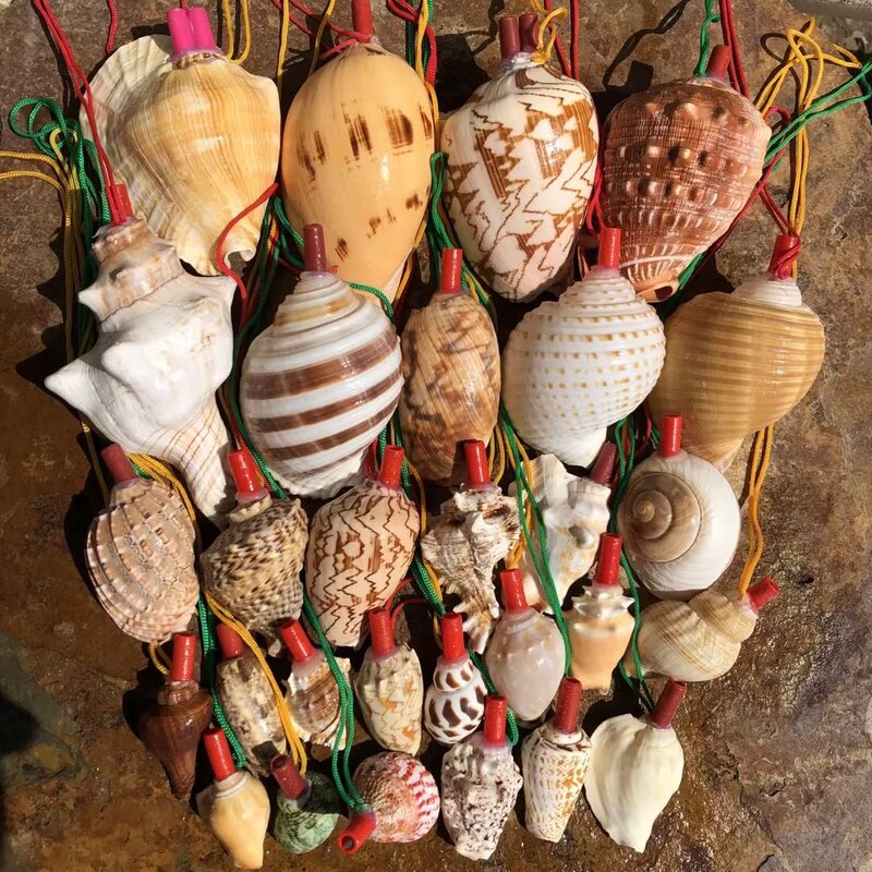 Natural Conch Horn Can Blow Trumpet Whistle, Shell Whistle, Kidsren's Toy Whistle, Small Conch Horn Can Blow