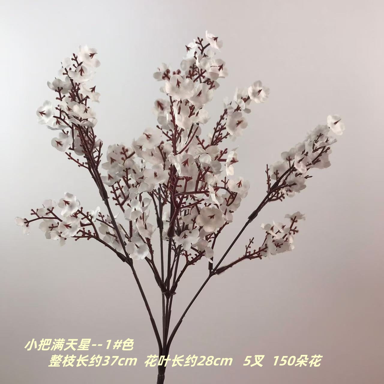 작은 안개꽃 1#색깔