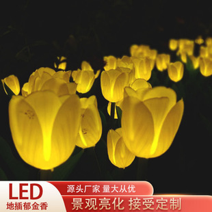 led����l�������������JȔ��ƺ���^ͥԺ�����⹝�����ز��