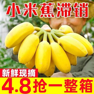 �������rˮ���F�b�㽶С�׽�������С�V���Fժ��Ȼ�l���]