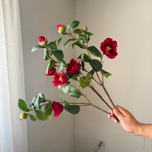 羳NС軨滨Ʒ|؛ԴԴ^SlӼҿ͏dܛbc