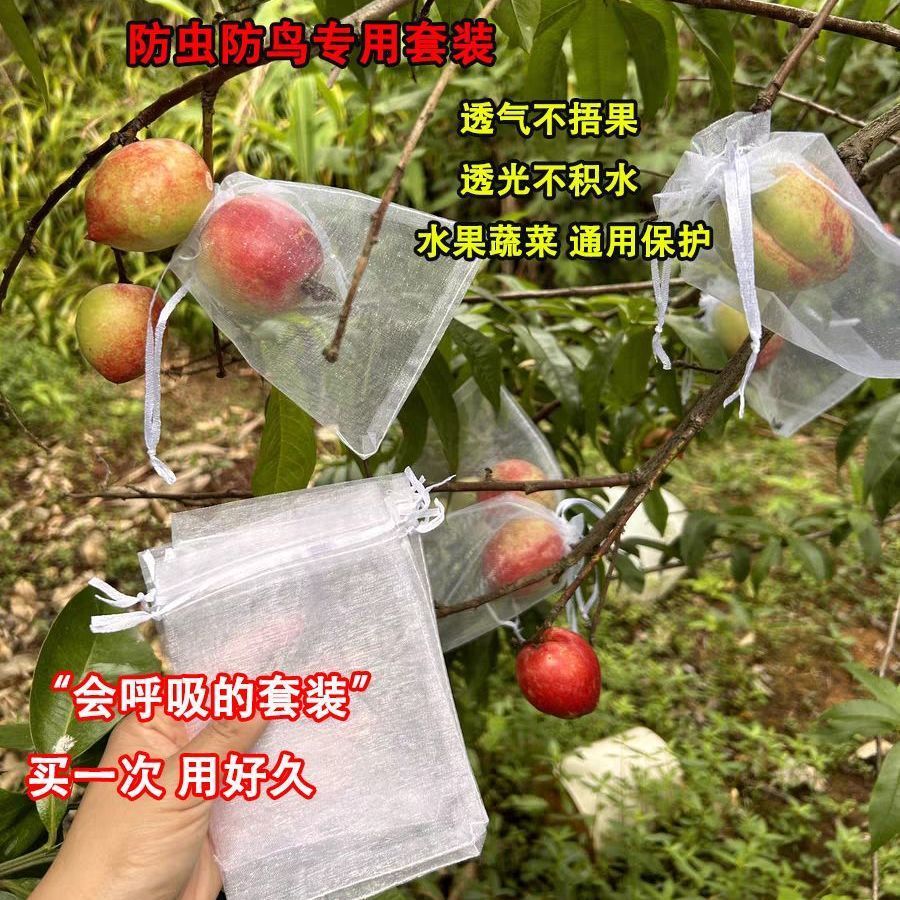 49bc4869-e550-43a1-9f79-800fd1ca022b.jpe