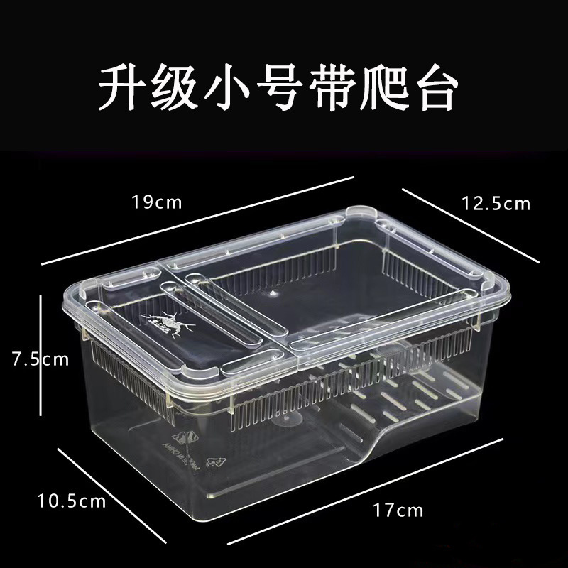 Aquatic Amphibian Terrarium with Sun Deck Turtle Tank Corner Frog Spider Lizard Reptile Enclosure Anti-Escape Wholesale Specialized Tank 