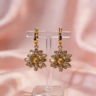 ���S�����OӋ�ƷŮ���h��ᔚW���羳��ʽ���s14k��ȦС�r�ն���