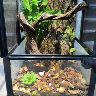 �����쾰��ɽ�٘�֦��ľ�^�������ٗl���x�������ز��b���ɽҰ��