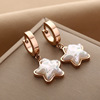 Golden earrings stainless steel, jewelry, European style, does not fade, pink gold, wholesale