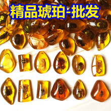 �����x����˱���ʯ�����ھ����ä�����ҹ����ս̌W�S�����l