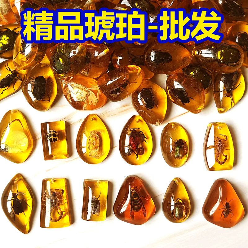 Real Insect Amber Specimen Fossil Archaeological Excavation Toy Blind Box Accessories Glow-In-The-Dark Science Education Manufacturer Wholesale Real Insect Amber Specimen Fossil Archaeological Excavation Toy Blind Box Accessories Glow-In-The-Dark Science Education Manufacturer Wholesale