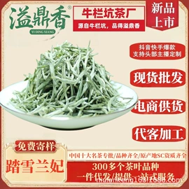 白茶;再加工茶;乌龙茶