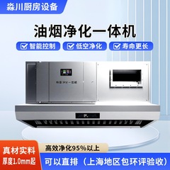 商用油煙浄化一体機メーカーオーダーメイドホテル食堂低空ステンレス煙カバー油煙機