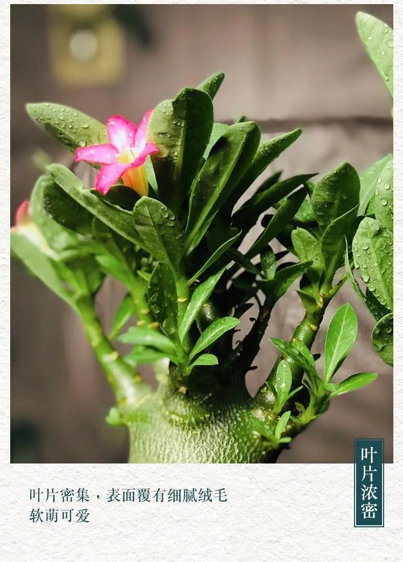 2f5e24e4-5d11-44a3-b60e-316e23232dae.jpe