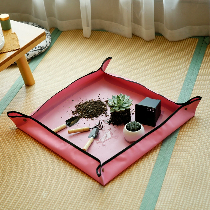 Сочные инструменты зеленое растение цветок почва смена горшка посадка полив садовый коврик водонепроницаемый коврик