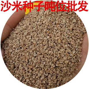 ���l���ݷN�ӷN��ɳ�� ɳ�׷N��ɳ��N�� ���L��ɳֲ��ɳ��ɳ����