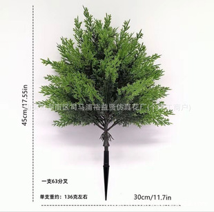 ���R�d�羳�����̰صز�����Gֲ���~�b��⻨�@���Բ廨�쾰