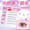No-glue, 6 rows 36 clusters, small wild cat lower lashes