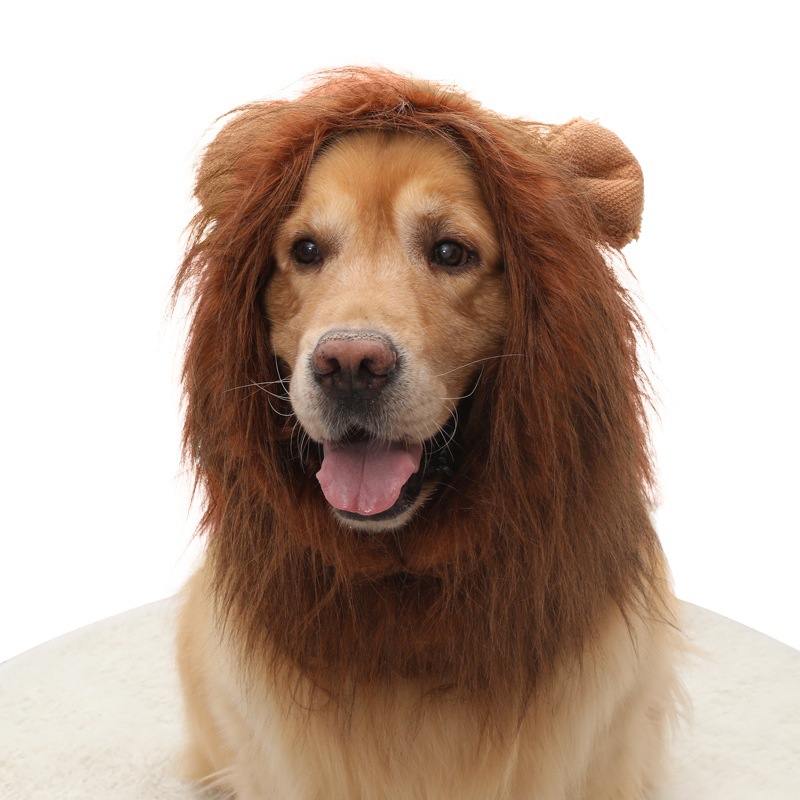 Cross-Border Hot-Selling New Pet Products: Funny and Adorable Lion Head Hat for Golden Retrievers, Dogs, and Cats for Christmas