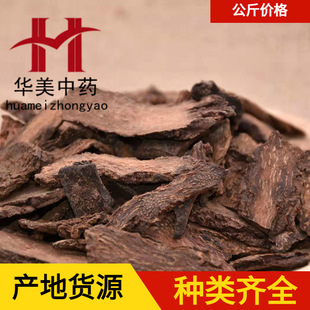 ���i�1000�� �A����ș ��ș�ĬF؛���l���� ���i� ����ă�