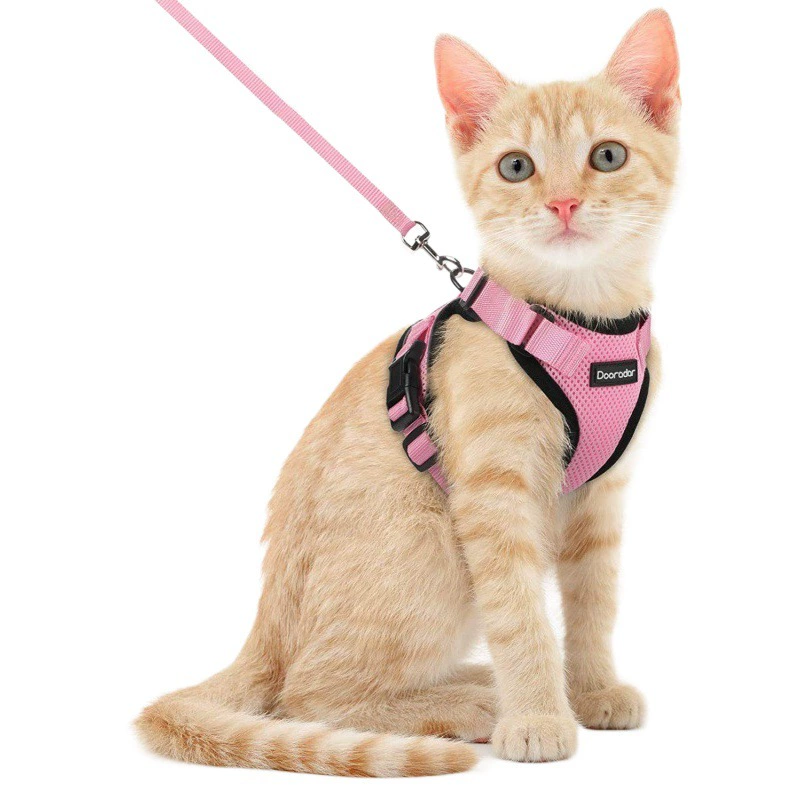 Кошачий буксирный трос для предотвращения выпадения может регулировать кошачий трос