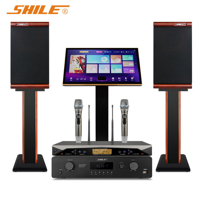 Lion Music Hi-Fi Fever Class Power Amplifier Bookshelf Speaker Set KTV Audio Singing Complete Equipment Singing Machine
