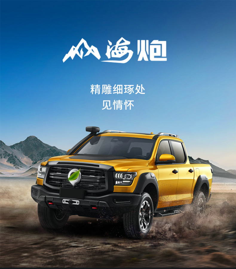 Seat Cover for Great Wall Shanhai Cannon, Full Set Leather