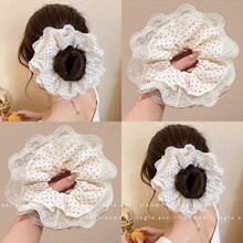 ����̖�ٽz���c���c�lȦŮ2026�¿�߼��������^�l�K��ʽ�^���^�