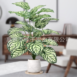 �羳�ٰl���W�L�پGֲ������؎��軨�ܔ[�����[�҃Ȼ��T�~