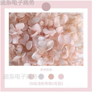 �黨��������l�b��仨�����Y�н�����ִ��N���o�˶Y�ɻ�����