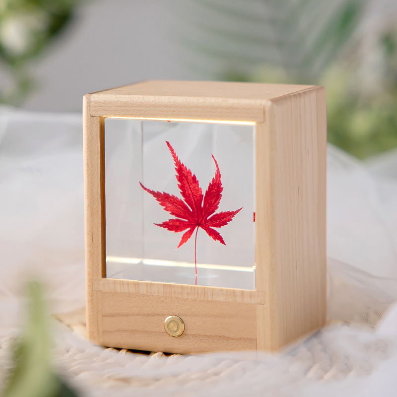 Cross-border creative gift glowing resin everlasting flower dandelion night light ornament, suitable for boys and girls birthday gift Z1