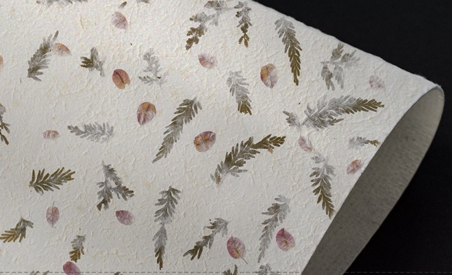 태국 붉은 꽃 피닉스 꼬리 94*64cm