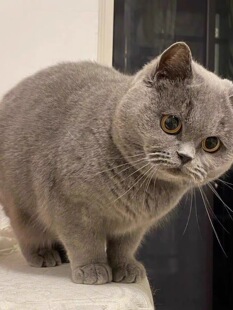 ?�l؛Ӣ����ë؈�{���{؈���̰��_�������{���ӽ��y�u�ӌ���