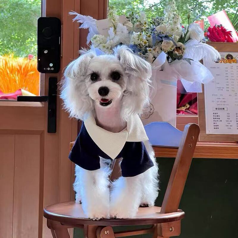 Retro Sweatshirt Dog Clothes 2025 New Autum Small Size Dogs Teddy Bichon Schnauzer Pet Puppy Clothing Retro Sweatshirt Dog Clothes 2025 New Autum Small Size Dogs Teddy Bichon Schnauzer Pet Puppy Clothing