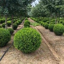 SԮa؃r·@־GɫKlرֲ