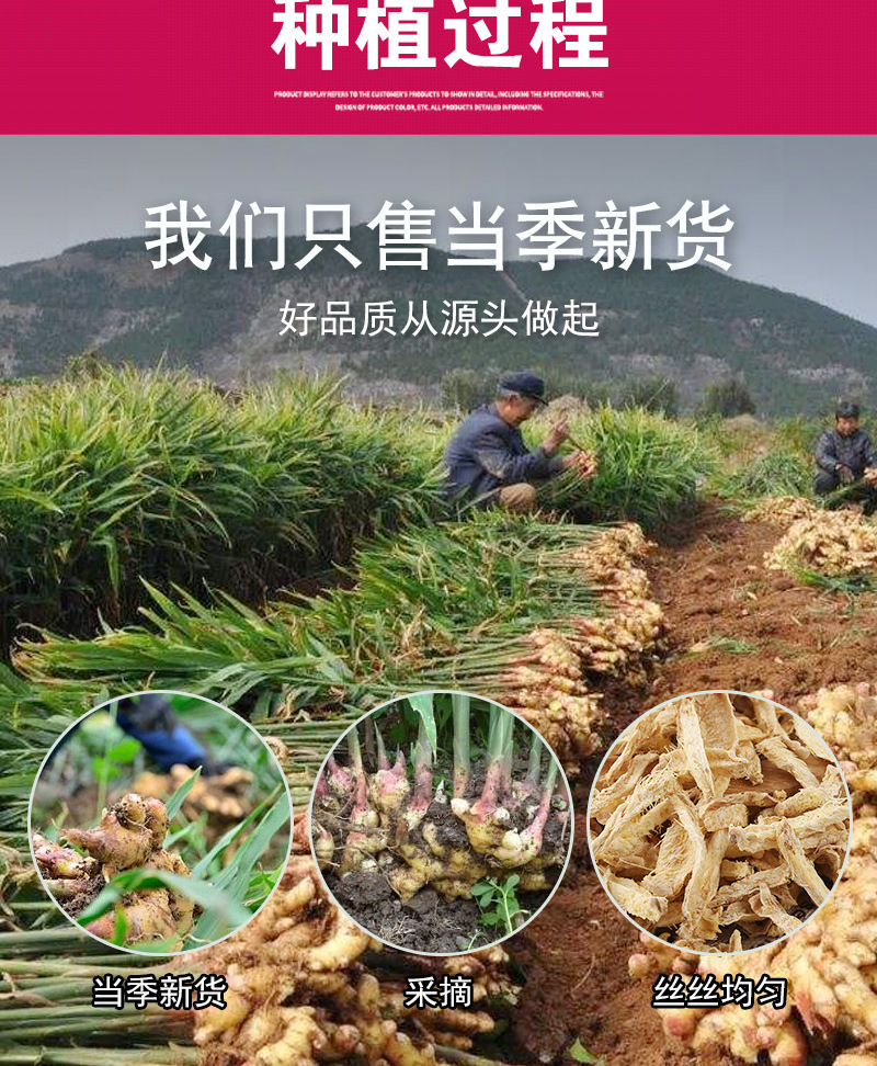 Yunnan Small Yellow Ginger Slices (Zingiber officinale) — Dried Food-Herb Ginger for Tea & Cooking, 500g preparation