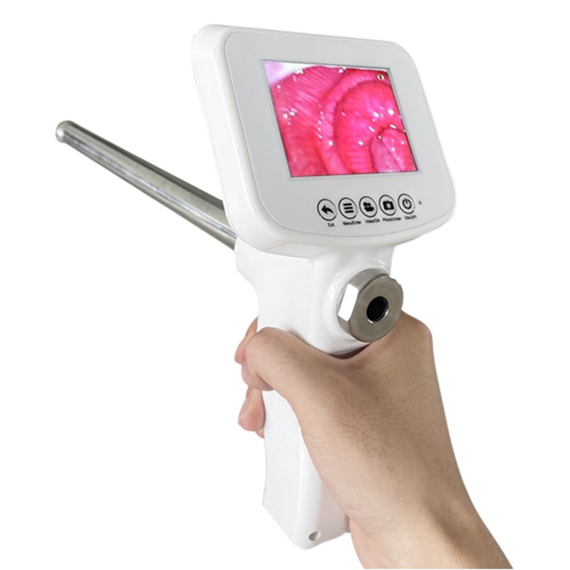 Ganado esencia visual pistola de transfusión pistola de inseminación artificial cría aguja ganado endoscopio equipo de instrumentos veterinarios puede ser exportado transfronteriza