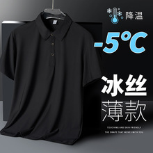 ���z��ʿ����t��2026�¿��ٸɰְ֌��ɷ��I�ļ�����POLO��