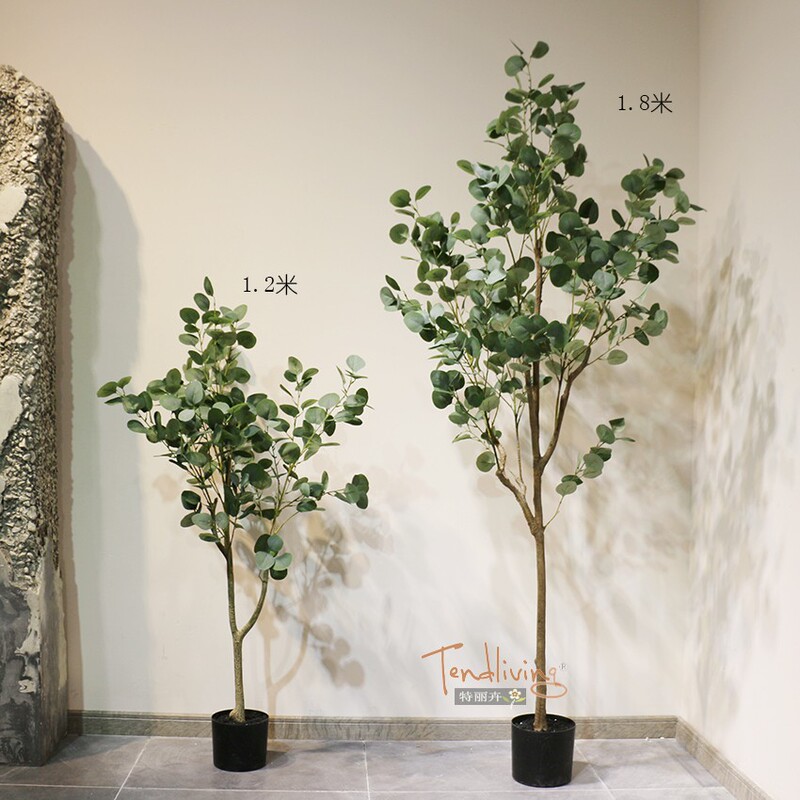 Eucalyptus Money Tree Indoor Nordic Ins Modern Minimalist Style Trendy Floor-Standing Green Plant Potted Plant Eucalyptus Money Tree Indoor Nordic Ins Modern Minimalist Style Trendy Floor-Standing Green Plant Potted Plant