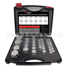 72/76��/152��JIC37&deg; ORFS���IҺ��ܛ�ܺ͹ܵ����^�׼��w�Ͳ��^