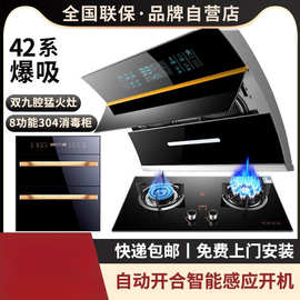 批发樱花仙子油烟机燃气灶套餐抽油烟机灶具套装厨房吸油烟机三件