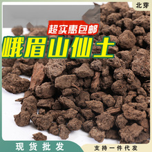 峨眉山荷王仙土颗粒兰花植料君子兰专用栽培土水培水草颗粒土包邮