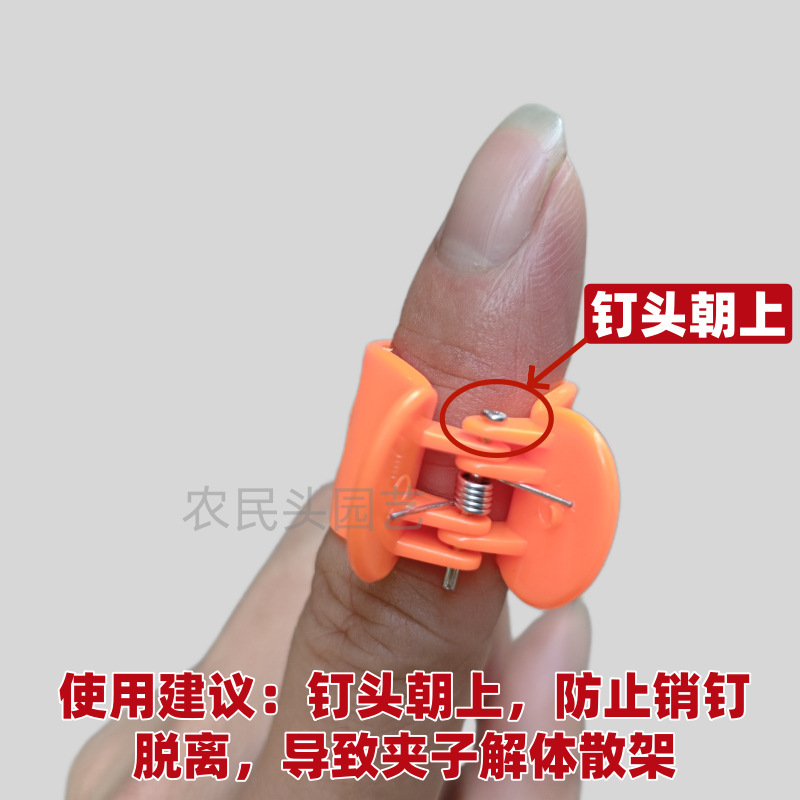 特大6本爪クリップ、デンドロビウム専用装飾固定クリップ、金の木蘭クリップ、園芸用つるサポート|undefined