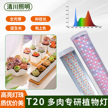 ֲ���a�����ȫ���VT20���⌣����ɫ���ܟ�ֲ����ֲ���������ɫ