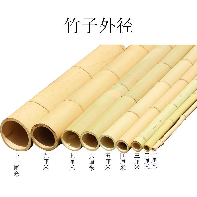 竹子装饰竹竿装修楠竹篱笆栅栏菜园搭架防腐户外隔断屏风毛竹竿