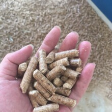 2025�����w��ȼ���|�����C���˓Q���Y��ֵ�ߏB�T����Ȫ�ݕx��ʯ�{